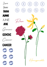 Load image into Gallery viewer, ICONIC 3.0 (QUARTER 2!) icon book!