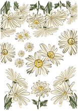 Load image into Gallery viewer, FASHION & FLORAL 2.0 RESTOCK - LAST CHANCE!