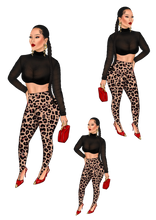 Load image into Gallery viewer, Cheetah Girl Lisa Dual Shade Pick
