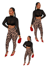 Load image into Gallery viewer, Cheetah Girl Lisa Dual Shade Pick
