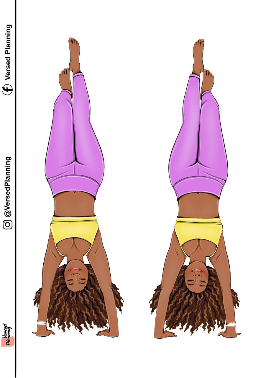 Hand Stand, Dual Shade Option