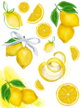 Load image into Gallery viewer, FRUIT FIESTA DISCOUNTED BUNDLE!
