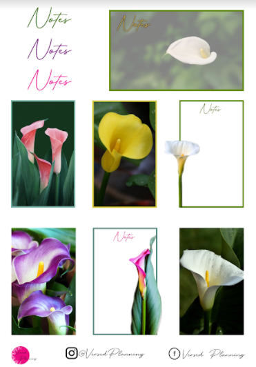 Floral Sheet 7