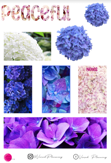 Floral Sheet 9